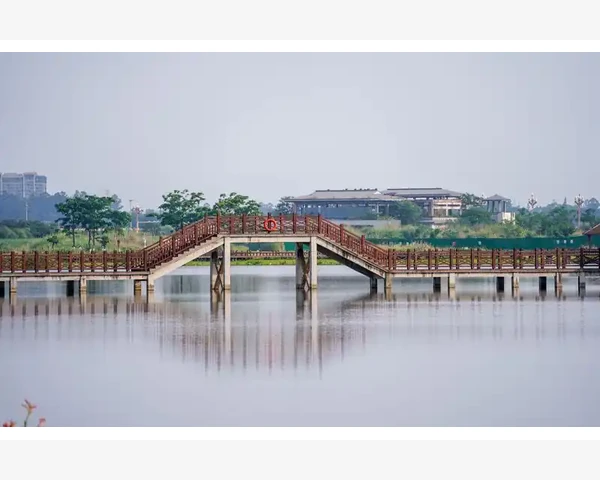 MT4模拟账户参数恢复出厂状态的完整操作路径_旧账户数据的清理与备份技巧