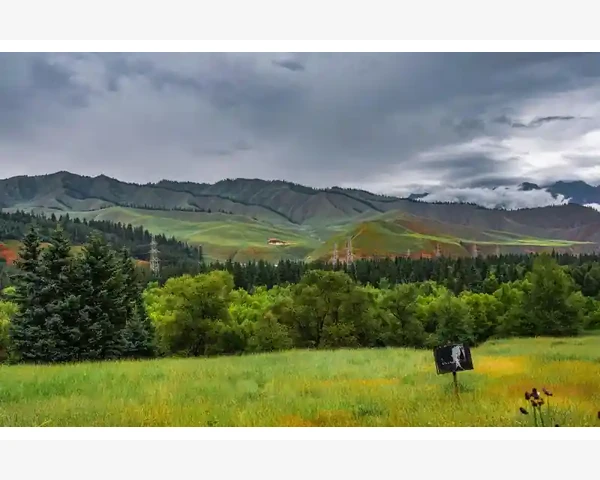 MT4电脑版登录信息保存失败原因与修复方法