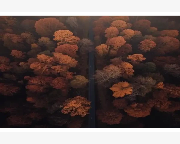 合理结合两种报价能提升成交率和客户满意度_分度盘精准定位与日常维护要点
