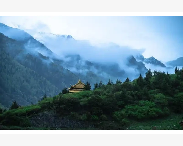 伺服电机选型与日常运转核心技巧_利益分配容易扯皮
