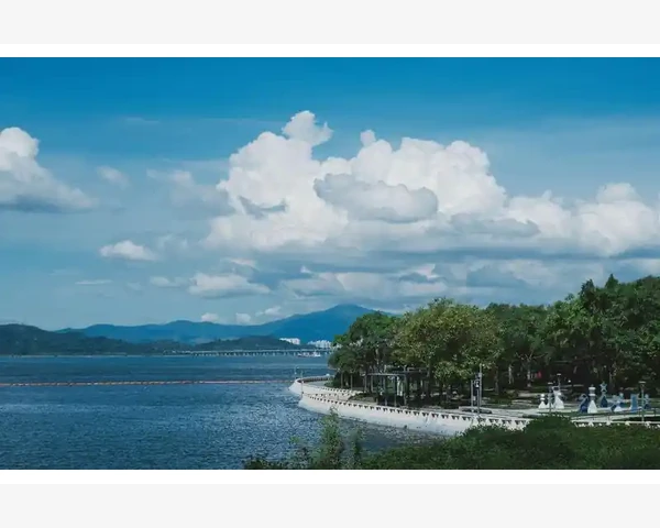 MT4模拟账户行情查看从入门到精通
