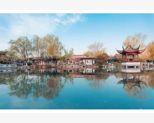 MT4手机版登录状态频繁丢失原因与应对