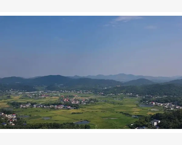 MT4电脑版隐藏不需要品种轻松简化市场报价窗口
