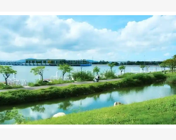MT4内部编译日期查找方法详解_为什么MT4原生功能画不了XABCD形态