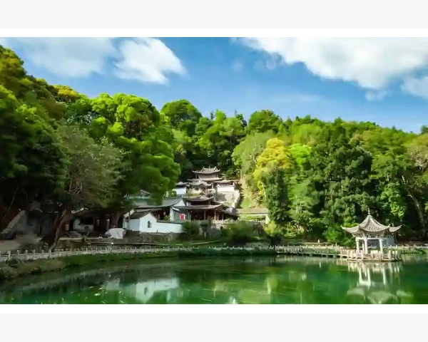 MT4账户数据同步失败原因与解决办法